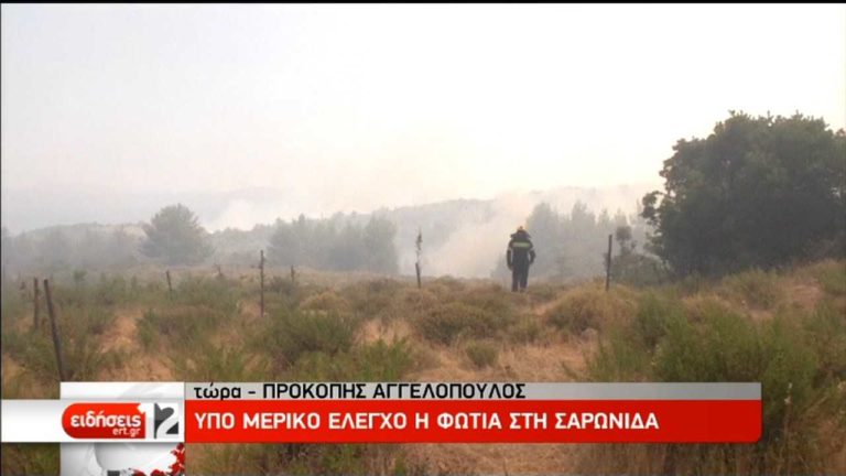 Σαρωνίδα: Yπό έλεγχο πυρκαγιά σε έκταση με ξερά χόρτα (video)