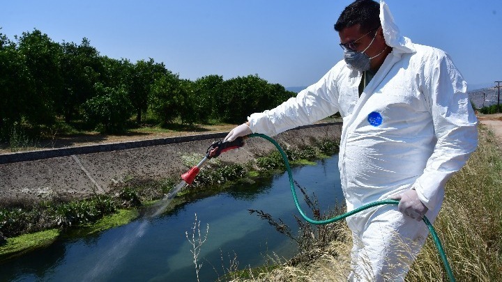 Έντεκα κρούσματα του ιού του Δυτικού Νείλου στην Κεντρική Μακεδονία