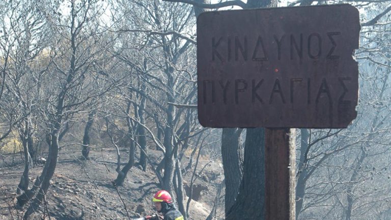 Υψηλός κίνδυνος πυρκαγιάς την Παρασκευή-Οδηγίες της Πολιτικής Προστασίας (video)