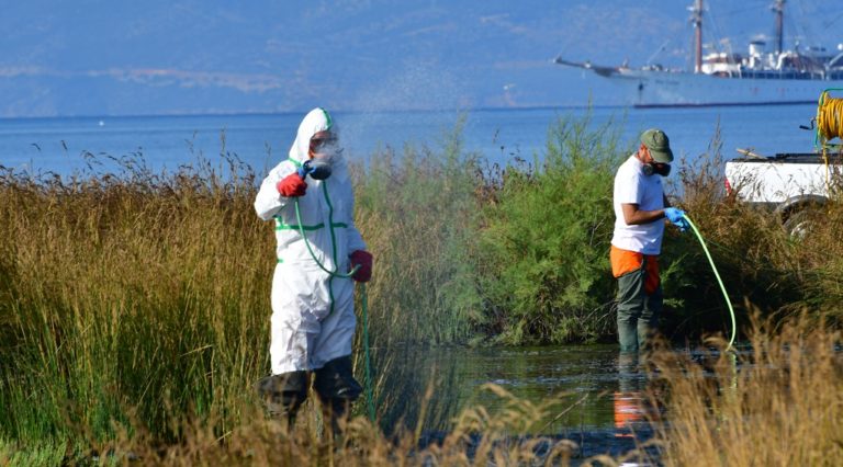 Οικολογική Πρωτοβουλία Χανίων: Πολύ επικίνδυνο το Roundup