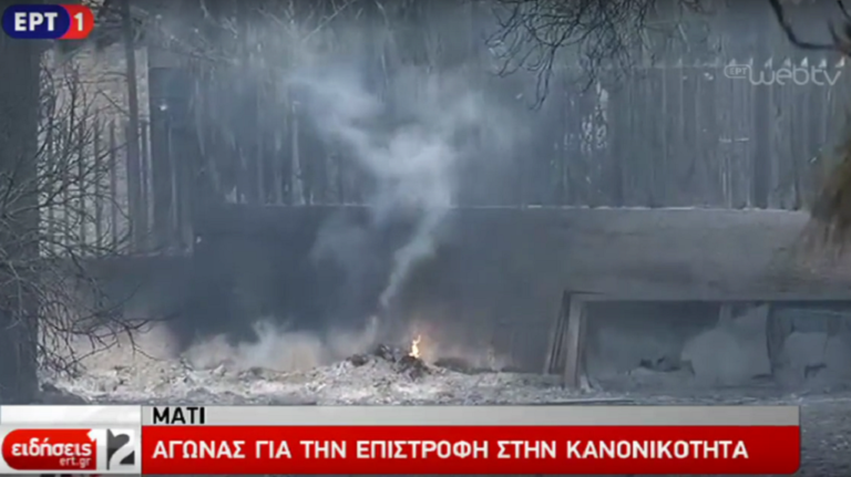 Μάτι: Αγώνας για επιστροφή στην κανονικότητα (video)