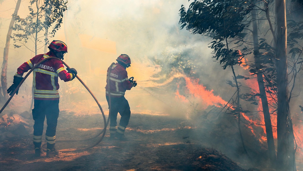 Πορτογαλία-Ισπανία: Σε ύφεση οι πυρκαγιές – 10 οι νεκροί από τον καύσωνα