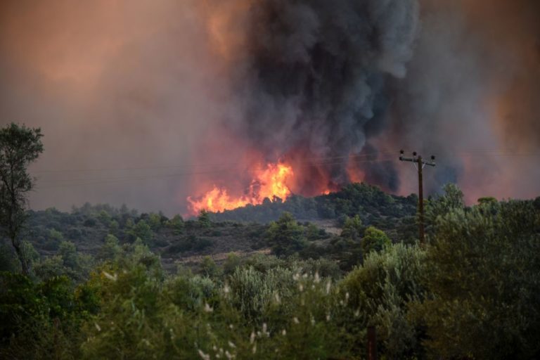 Λέσβος: Πυρκαγιά στο Πλωμάρι – Πνέουν ισχυροί άνεμοι (video)