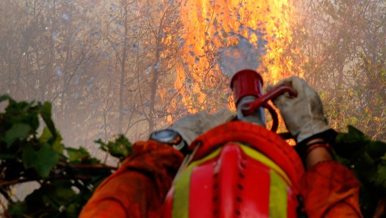Ισπανία: Πυρκαγιές στο εθνικό πάρκο Ελ Εστρέτσο