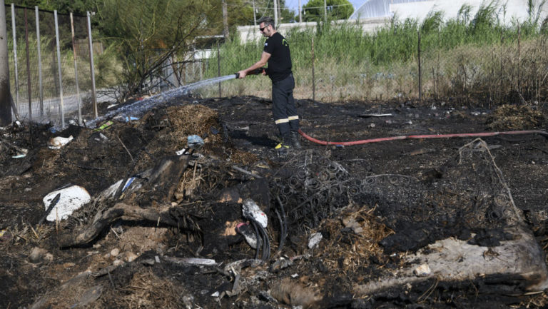 Υπό έλεγχο η φωτιά στο Σχοινιά Μαραθώνα