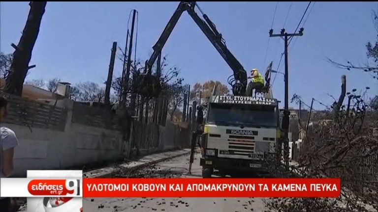 Επιχείρηση καθαρισμού στο Μάτι και το Νέο Βουτζά (video)