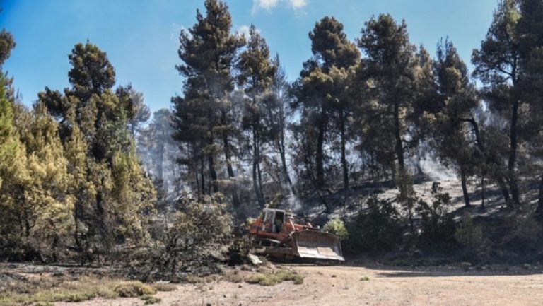 Από σήμερα οι διπλές συντάξεις σε πυρόπληκτους της Αττικής (video)