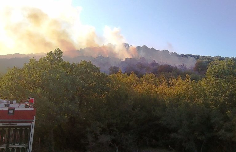 Υπό έλεγχο η φωτιά στην Καβησό Αλεξανδρούπολης