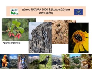 Στην Κρήτη η συνάντηση Ευρωπαϊκού Προγράμματος για τα οικοσυστήματα