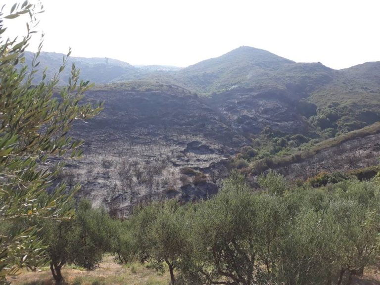 Ζάκυνθος: Σε ύφεση η πυρκαγιά στο Αργάσι
