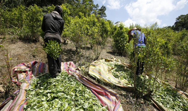 Κολομβία: Εκτοπίστηκαν πάνω από 3.000 άμαχοι λόγω του πολέμου των διακινητών ναρκωτικών