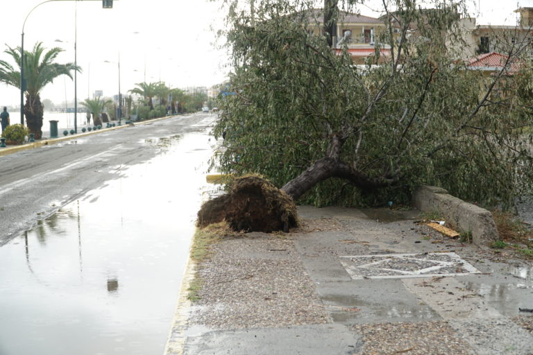 Η Μεσσηνία μετρά τις πληγές της (Φωτορεπορτάζ)