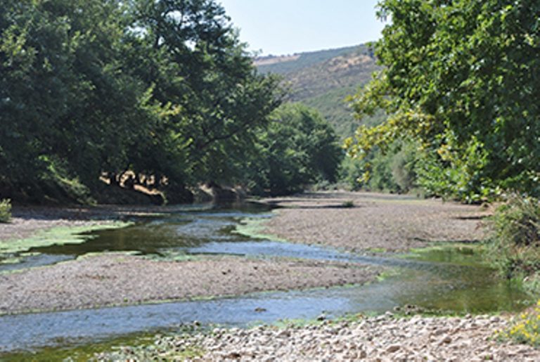 Πρόχειρα φράγματα στον Ενιπέα για την άρδευση 20 χιλ. στρεμμάτων