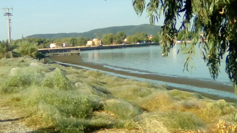 Αιτωλικό : Ιστός αραχνών εξαφανίζει τις σκνίπες