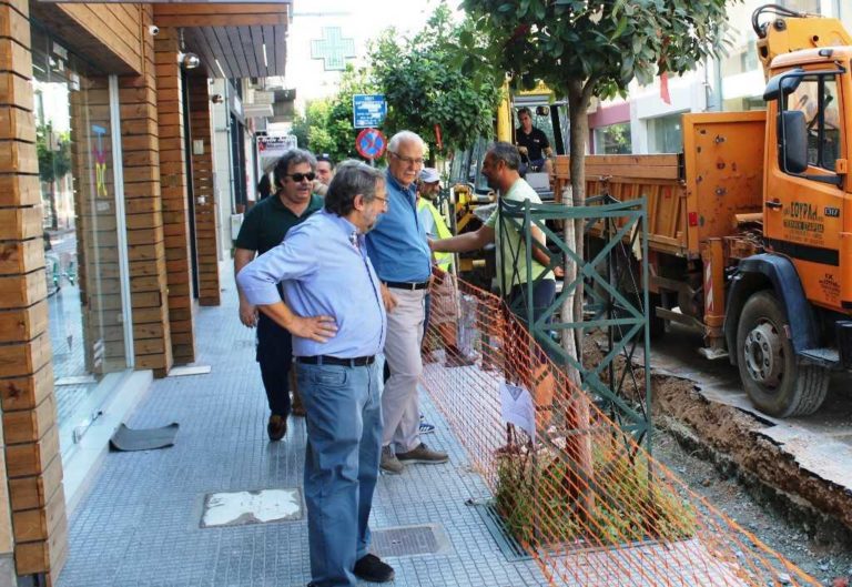 Στα έργα της Βενιζέλου – Φιλελλήνων – Δήμητρας ο Απ. Καλογιάννης   