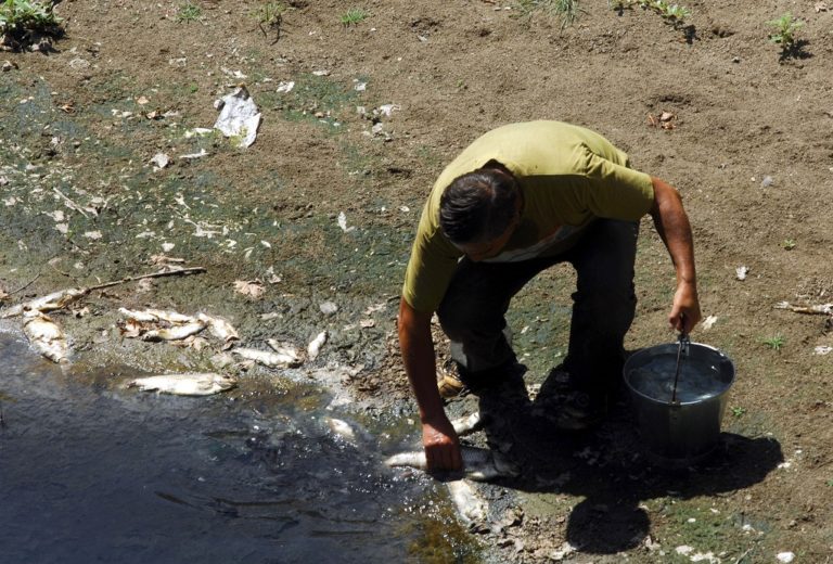 Έρευνα για την αντιμετώπιση της θνησιμότητας των ψαριών του Σχοινιά