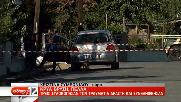 Πέλλα: Αιματηρό επεισόδιο με μία νεκρή και τρεις τραυματίες (video)