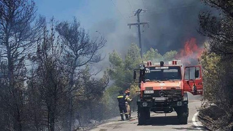 Γ.Γ.Π.Π.: Πολύ υψηλός ο κίνδυνος πυρκαγιάς σε πέντε Περιφέρειες