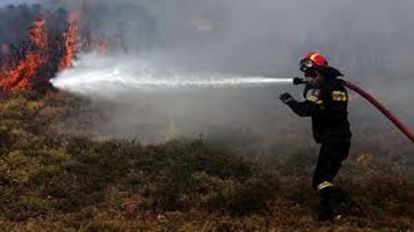 Σέρρες : Πυρκαγιά στα Πορρόϊα