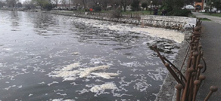 Η σωτηρία της Παμβώτιδας… αργεί (video)