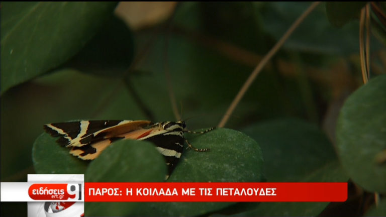 Οι ομορφιές της Πάρου (video)