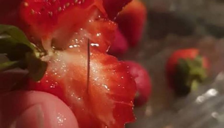 Αυστραλία: Έβαλαν βελόνες σε φράουλες- Επικήρυξη του σαμποτέρ με 100.000 A$  (video)
