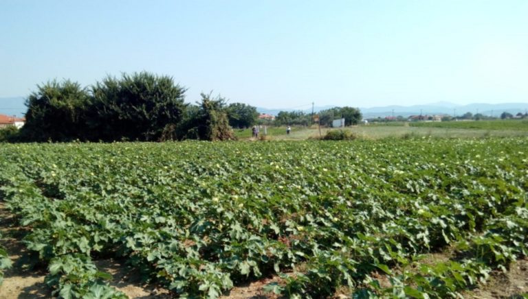 Ποσό 14 εκ. ευρώ για ερευνητικά έργα στην Ήπειρο