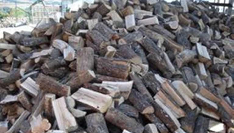 Κοζάνη: Στη Βουλή η ξυλεία του άλσους της Ποντοκώμης
