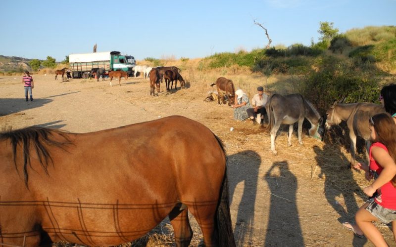 Από σήμερα το πανηγύρι του Βάραγκα