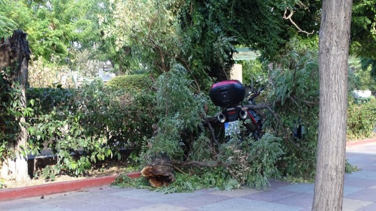 Δήμος Ηράκλειας: «Έβρεξε» προβλήματα στην Αμμουδιά