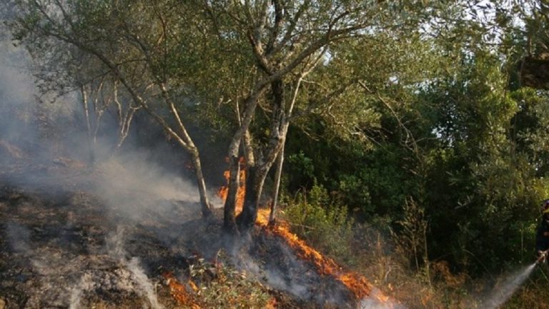 Φωτιές σε Μάνη, δυτική Αχαΐα, Βόνιτσα, Κεφαλλονιά (video)