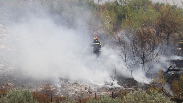Μυτιλήνη: Φωτιά σε ελαιόκτημα σε αγροτική περιοχή της Μόριας