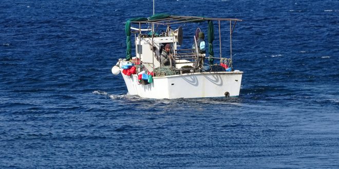 Γ. Μπουρνούς: Ενισχύστε τους επαγγελματίες αλιείς του Βορείου Αιγαίου