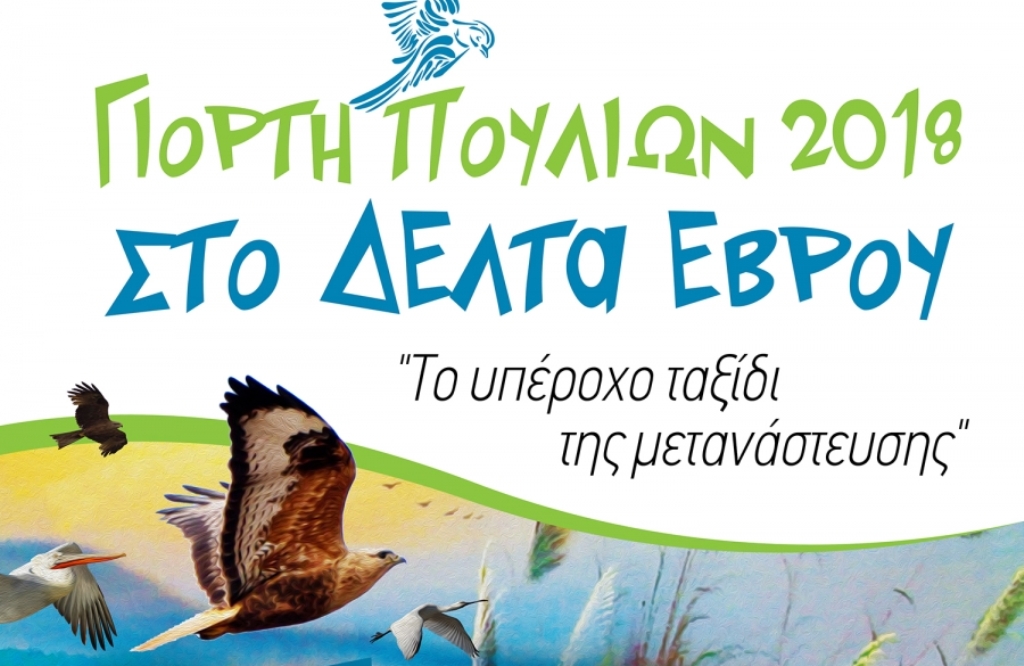 Ευρωπαϊκή Γιορτή Πουλιών στο Δέλτα του Έβρου
