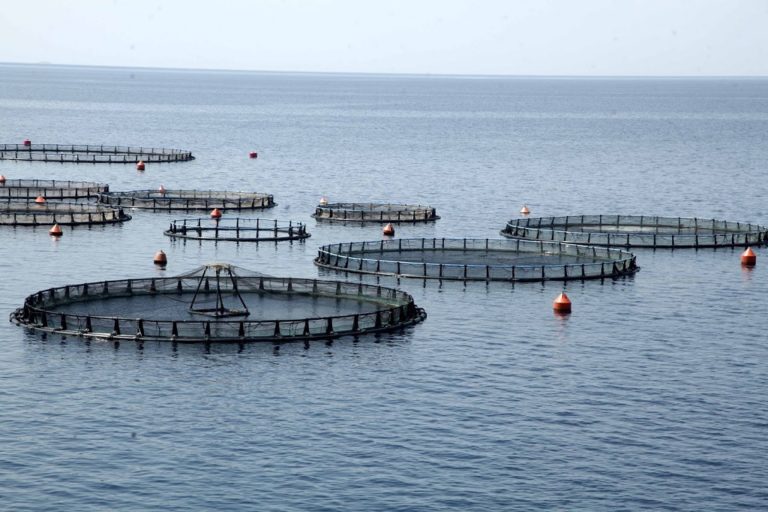 Ο δήμος Κορινθίων αντίθετος στην επέκταση των ιχθυοτροφικών μονάδων
