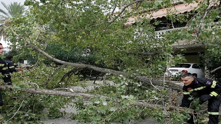 Προσοχή, πτώσεις δέντρων από τους ισχυρούς ανέμους