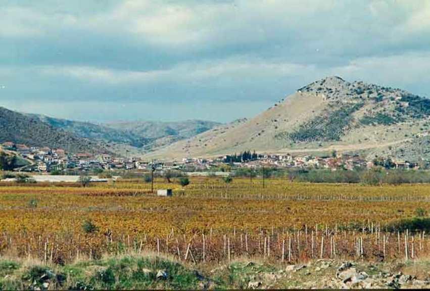 Δήμος Τυρνάβου: Δαμάσι – Περαχώρα να παραμείνουν ως μειονεκτικές