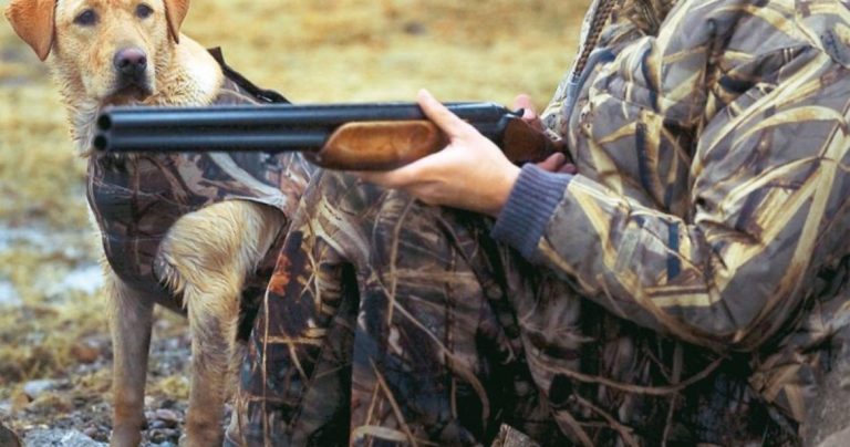 Αιτωλοακαρνανία: Απαγόρευση κυνηγιού