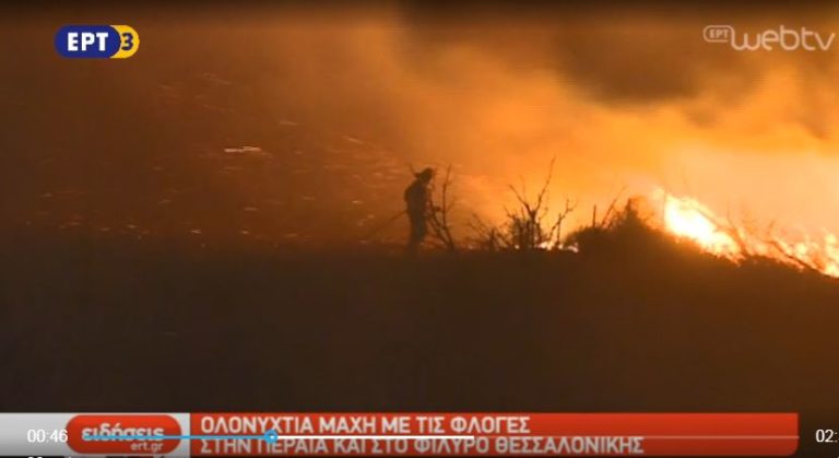 Φωτιές στην Περαία και στο Φίλυρο (video)
