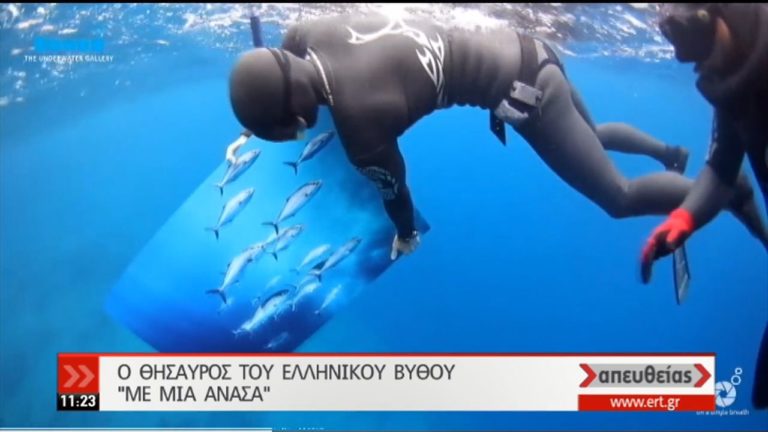 “Underwater Gallery”: Μια έκθεση φωτογραφίας στον βυθό (video)