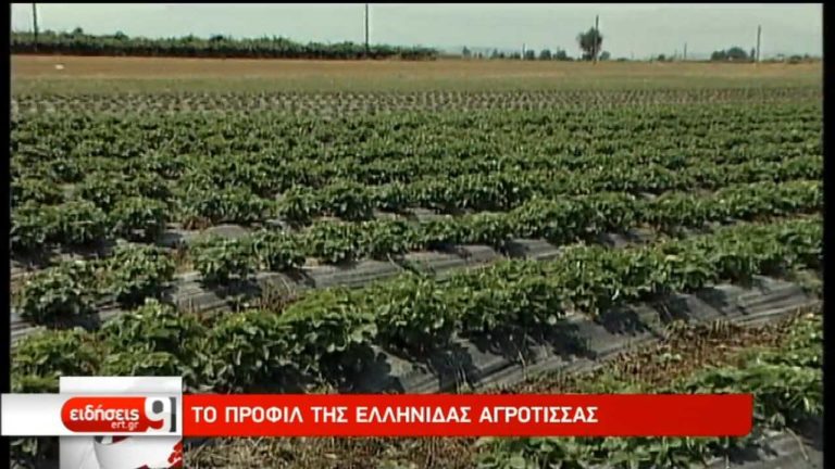 Το προφίλ της Ελληνίδας αγρότισσας (video)