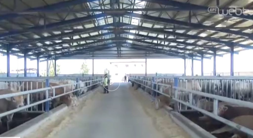 Μια πρωτοποριακή φάρμα στην Βέροια (video)