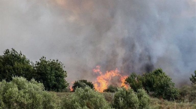 Φωτιά στον Ασκό, κοντά σε πεδίο βολής