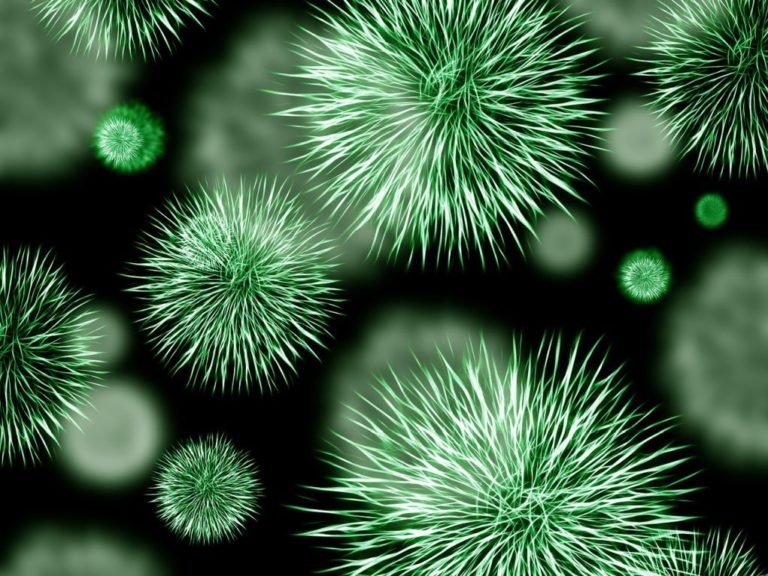 Η δημιουργία μιας «κιβωτού μικροβίων» ίσως συμβάλει στην καταπολέμηση ασθενειών