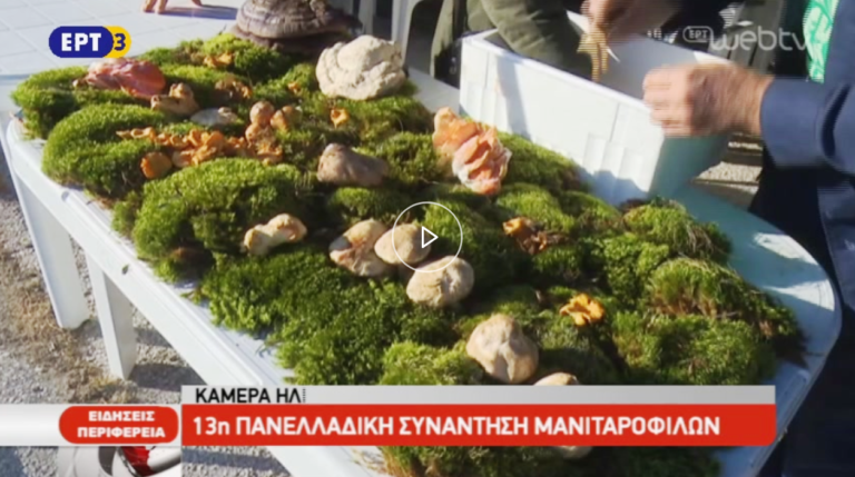 13η Πανελλαδική Συνάντηση Μανιταρόφιλων στους Τοξότες Ξάνθης (video)