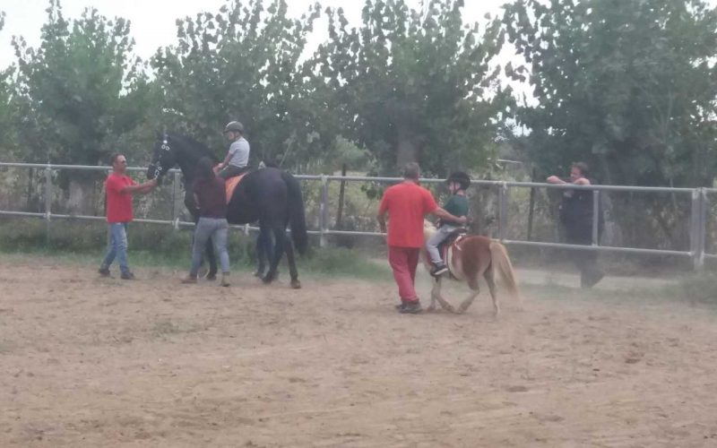 Θεραπευτική ιππασία: Άγγιγμα ψυχής