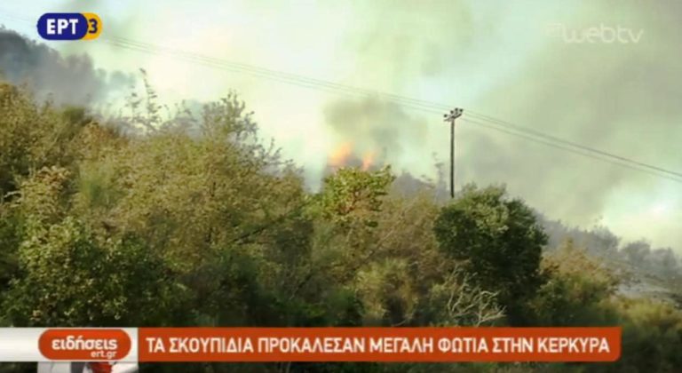 Τα σκουπίδια προκάλεσαν μεγάλη φωτιά στη Κέρκυρα (video)