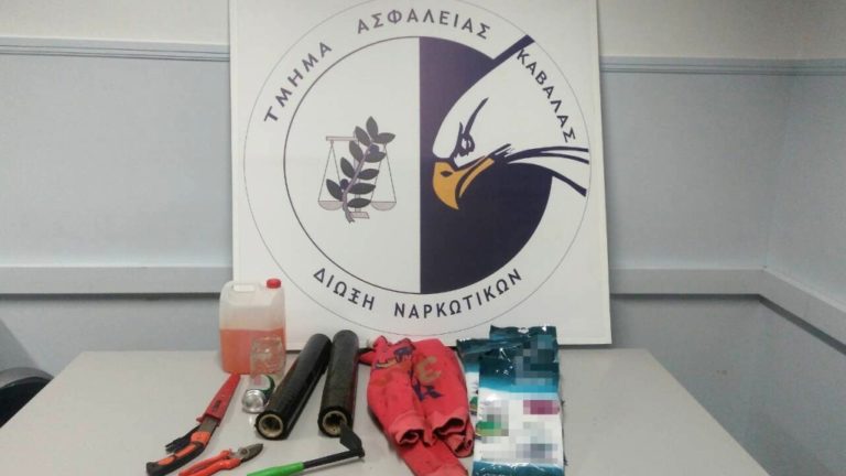 Καβάλα: Συλλήψεις για 16 κιλά κάνναβη και 115 δενδρύλλια