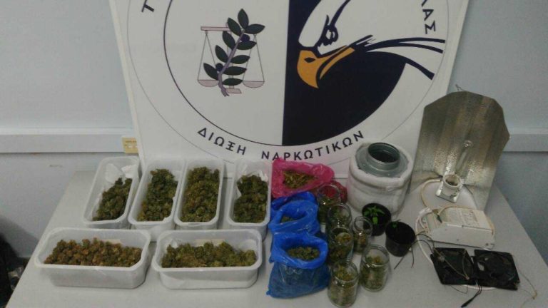 Καβάλα: Συλλήψεις για καλλιέργεια κάνναβης και κατοχή ναρκωτικών
