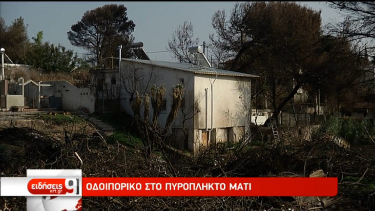 Οδοιπορικό στο Μάτι τρεις μήνες μετά τη φονική πυρκαγιά (video)